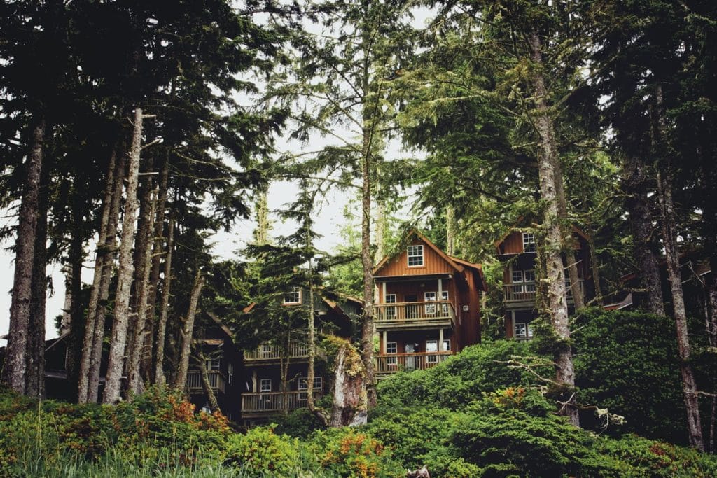 Wooden cabins with balconies are nestled among tall evergreen trees and dense green foliage in a forested area near Sasquatch Mountain Resort.