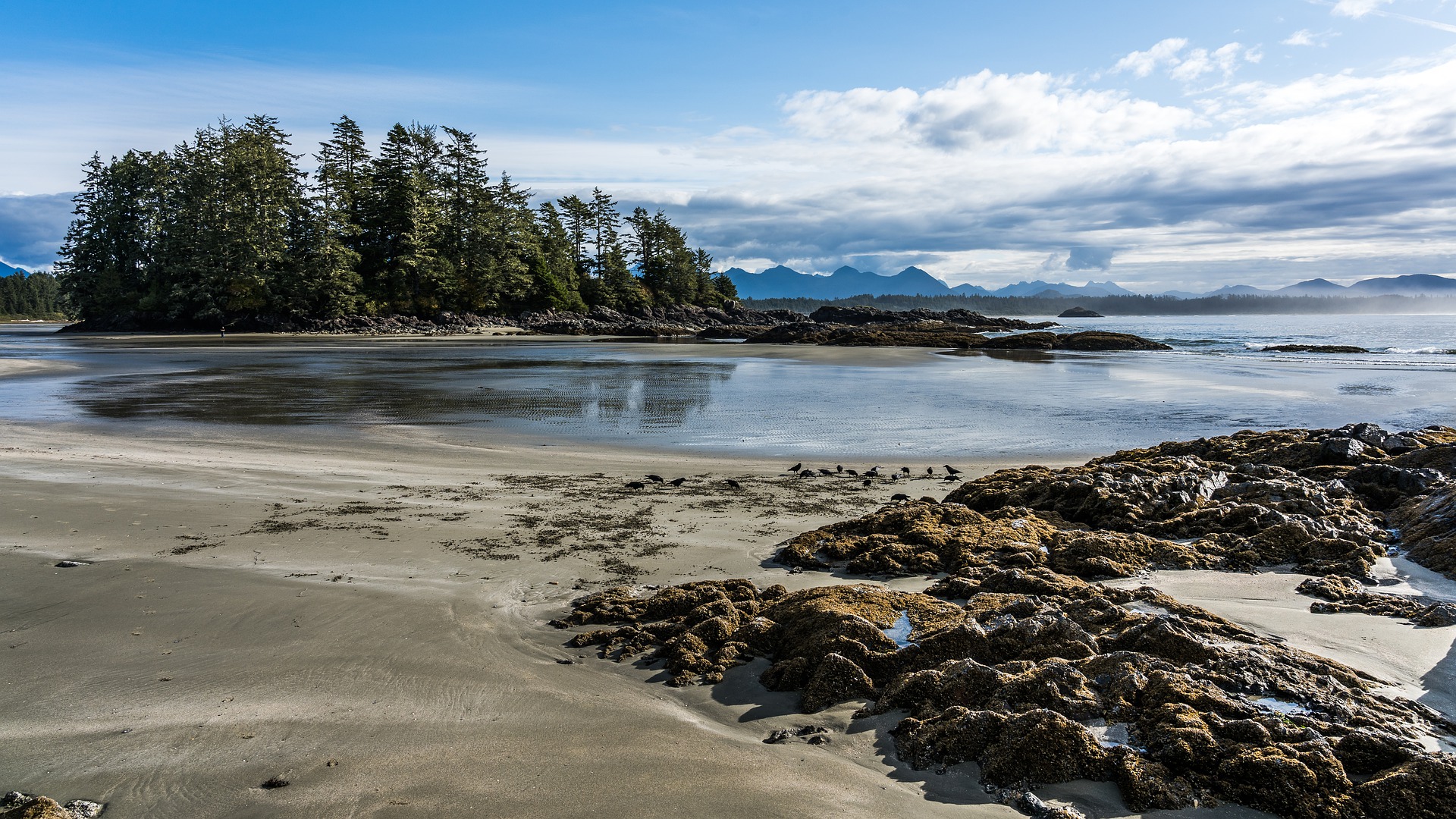 Can't Decide Between Ucluelet Or Tofino? Learn The Key Differences