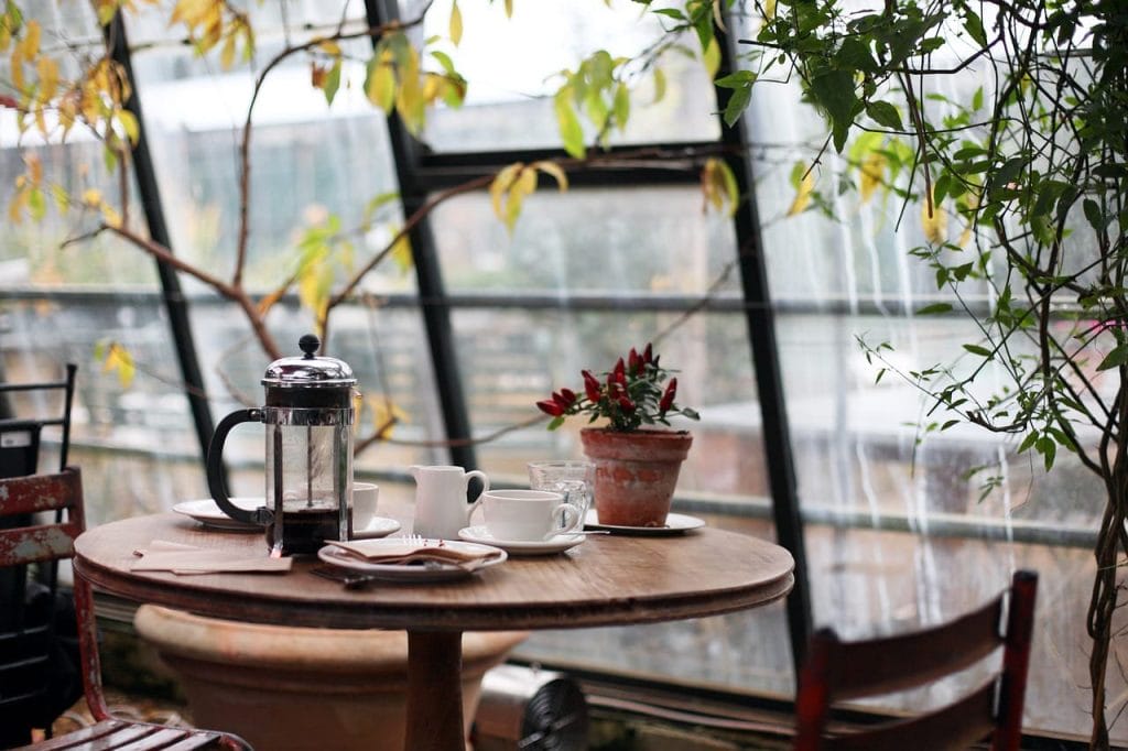Round wooden table with a French press, cups, saucers, and a potted plant, set in a sunlit indoor garden with glass windows and leafy plants—perfect for enjoying coffee while testing out the best Airbnb cameras for stunning photos.