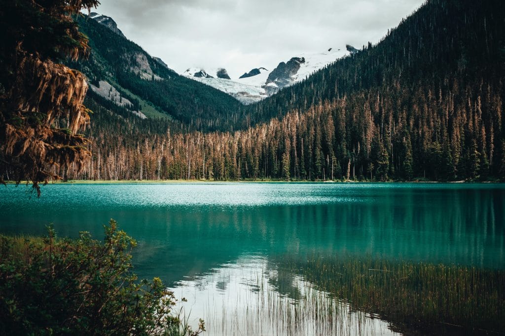 A turquoise lake surrounded by dense evergreen forest with snow-capped mountains in the background under a cloudy sky—a must-see among things to do in Whistler.